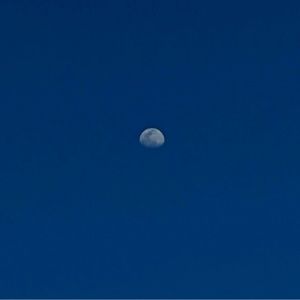 Meet your Posher, Demaris